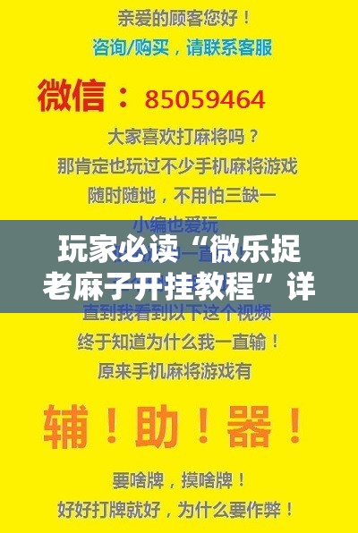 玩家必读“微乐捉老麻子开挂教程”详细分享装挂步骤