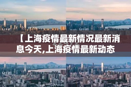 【上海疫情最新情况最新消息今天,上海疫情最新动态】