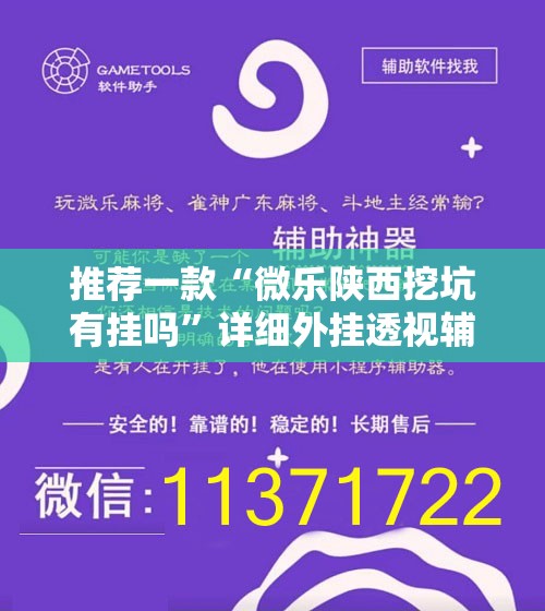 推荐一款“微乐陕西挖坑有挂吗	”详细外挂透视辅助软件教程