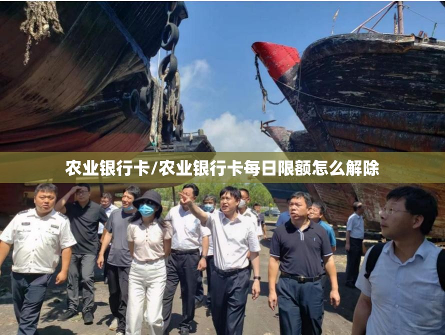 农业银行卡/农业银行卡每日限额怎么解除 农业银行卡/农业银行卡每日限额怎么解除