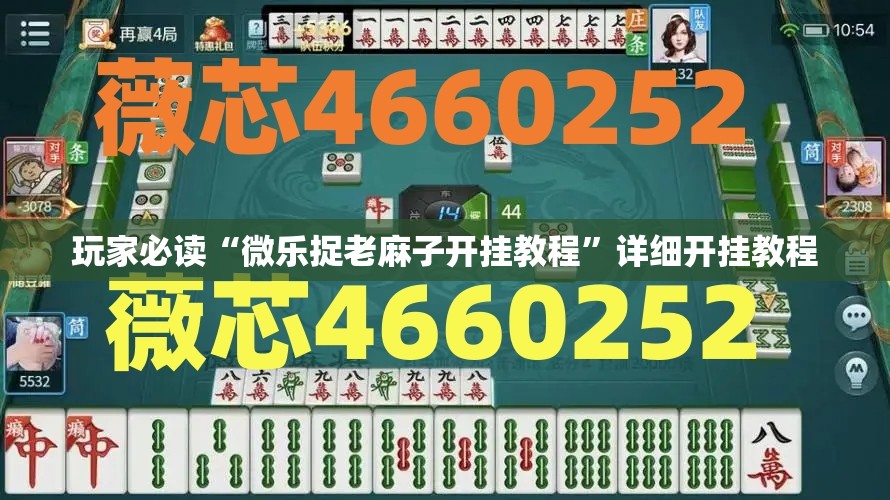 玩家必读“微乐捉老麻子开挂教程	”详细开挂教程