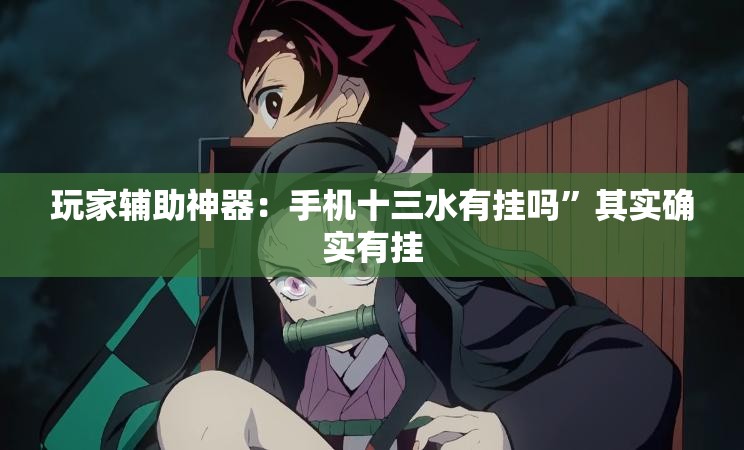 玩家辅助神器：手机十三水有挂吗”其实确实有挂