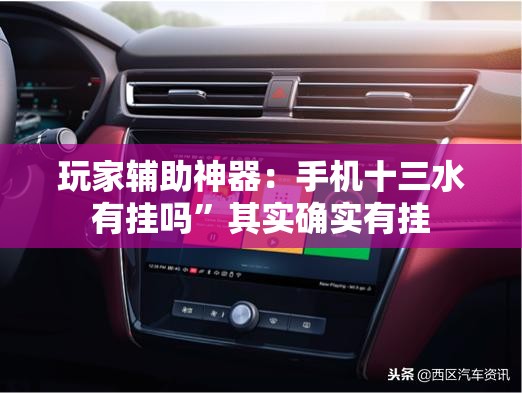 玩家辅助神器：手机十三水有挂吗”其实确实有挂
