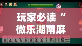玩家必读“微乐湖南麻将开挂免费下载安装”原来可以开挂