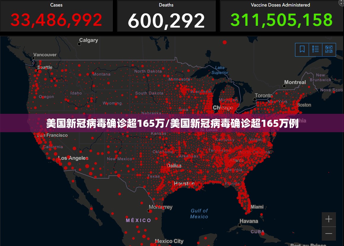 美国新冠病毒确诊超165万/美国新冠病毒确诊超165万例