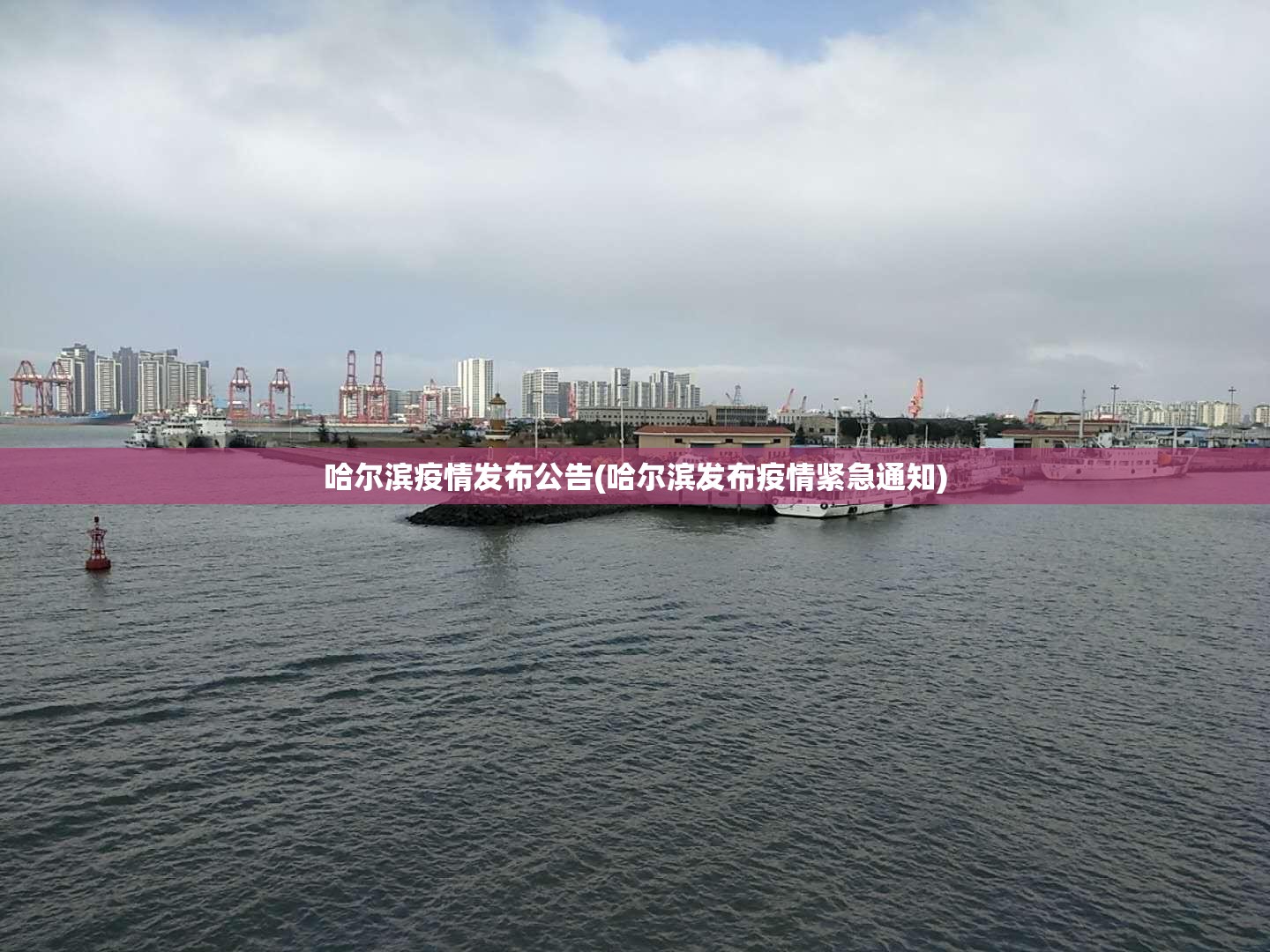 哈尔滨疫情发布公告(哈尔滨发布疫情紧急通知) 哈尔滨疫情发布公告(哈尔滨发布疫情紧急通知)