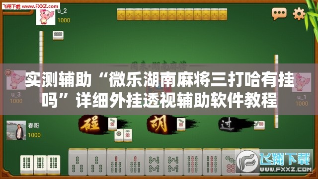 实测辅助“微乐湖南麻将三打哈有挂吗”详细外挂透视辅助软件教程