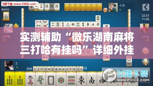 实测辅助“微乐湖南麻将三打哈有挂吗	”详细外挂透视辅助软件教程