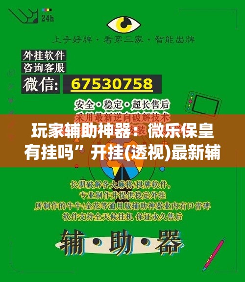 玩家辅助神器：微乐保皇有挂吗”开挂(透视)最新辅助详细