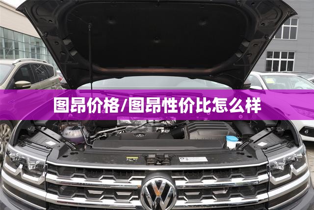 图昂价格/图昂性价比怎么样 图昂价格/图昂性价比怎么样