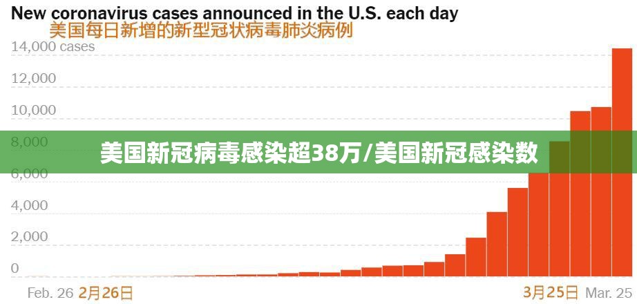 美国新冠病毒感染超38万/美国新冠感染数 美国新冠病毒感染超38万/美国新冠感染数