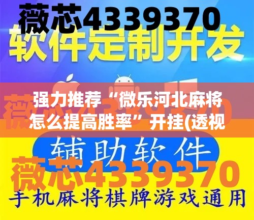 强力推荐“微乐河北麻将怎么提高胜率”开挂(透视)辅助教程