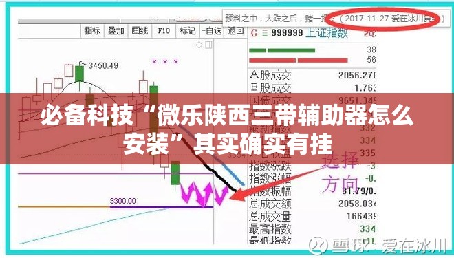 必备科技“微乐陕西三带辅助器怎么安装”其实确实有挂