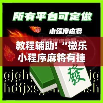 教程辅助!“微乐小程序麻将有挂不”详细分享装挂步骤