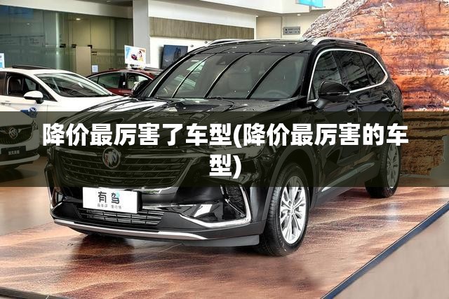 降价最厉害了车型(降价最厉害的车型)