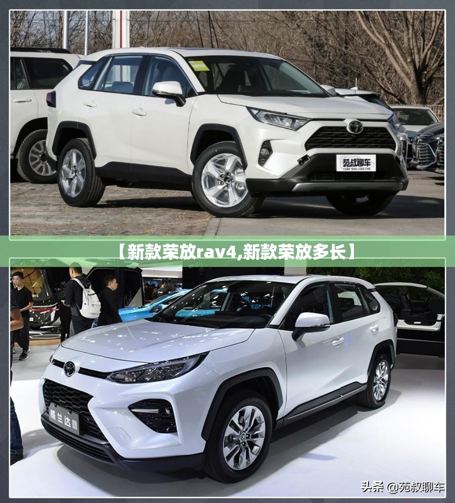 【新款荣放rav4,新款荣放多长】 【新款荣放rav4,新款荣放多长】