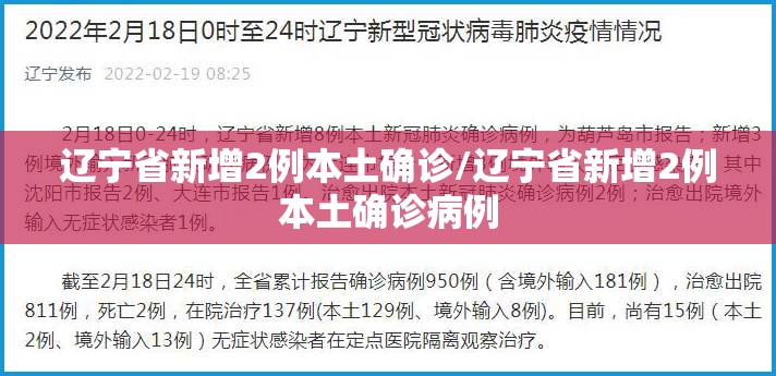 辽宁省新增2例本土确诊/辽宁省新增2例本土确诊病例