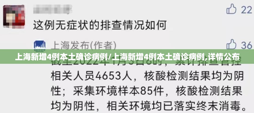 上海新增4例本土确诊病例/上海新增4例本土确诊病例,详情公布 上海新增4例本土确诊病例/上海新增4例本土确诊病例,详情公布