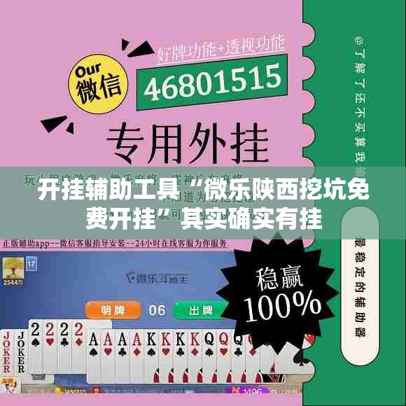 开挂辅助工具“微乐陕西挖坑免费开挂	”其实确实有挂