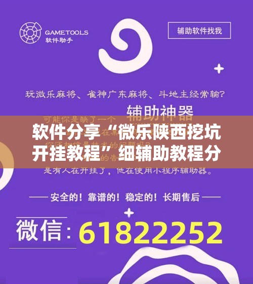 软件分享“微乐陕西挖坑开挂教程”细辅助教程分享