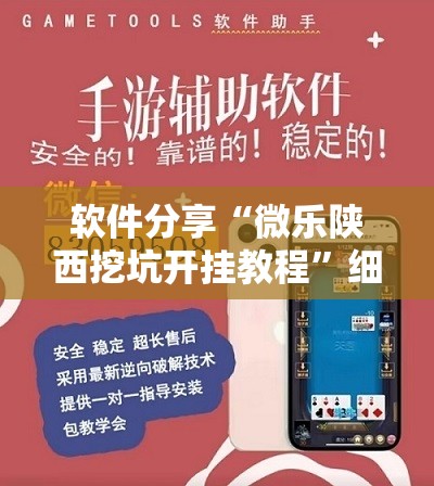 软件分享“微乐陕西挖坑开挂教程”细辅助教程分享