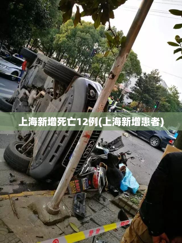 上海新增死亡12例(上海新增患者) 上海新增死亡12例(上海新增患者)