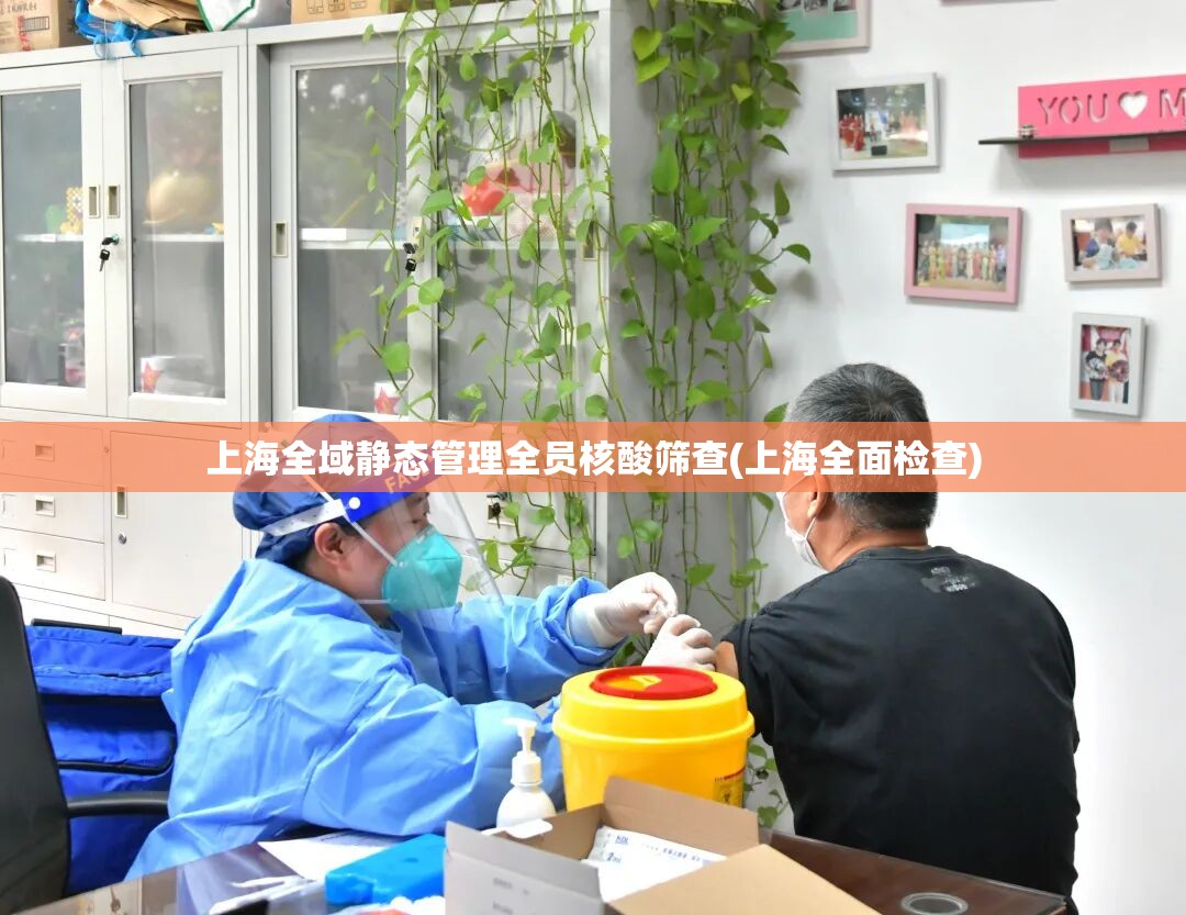上海全域静态管理全员核酸筛查(上海全面检查) 上海全域静态管理全员核酸筛查(上海全面检查)