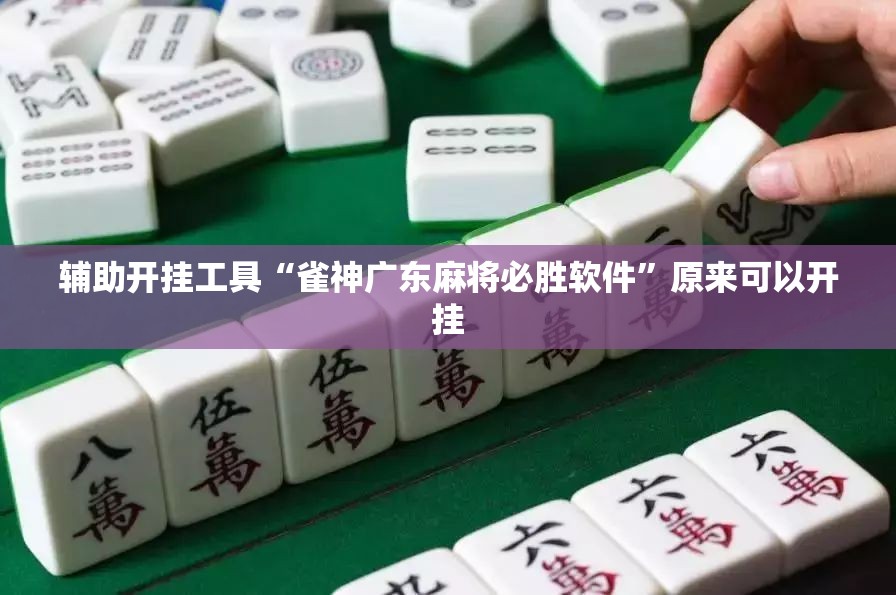 辅助开挂工具“雀神广东麻将必胜软件	”原来可以开挂