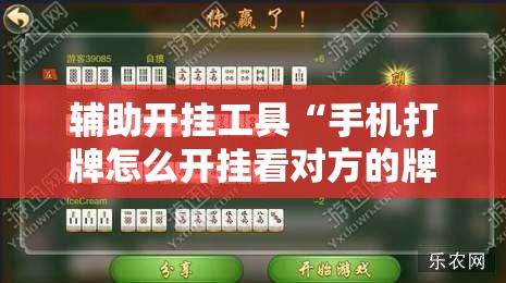 辅助开挂工具“手机打牌怎么开挂看对方的牌”细辅助教程分享
