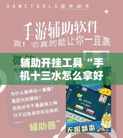 辅助开挂工具“手机十三水怎么拿好牌”开挂辅助脚本+详细开挂安装教程