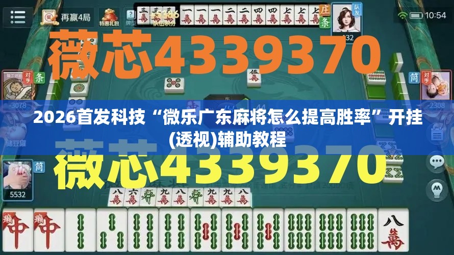 2026首发科技“微乐广东麻将怎么提高胜率	”开挂(透视)辅助教程