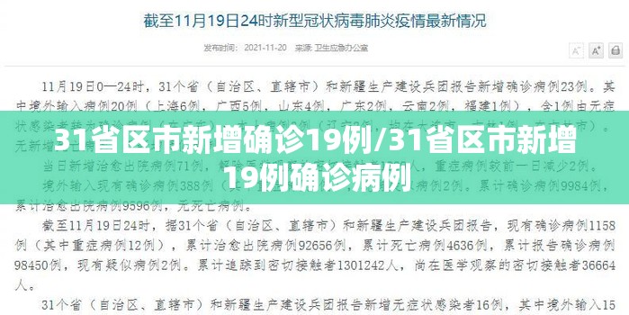 31省区市新增确诊19例/31省区市新增19例确诊病例