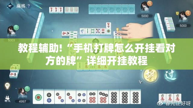 教程辅助!“手机打牌怎么开挂看对方的牌”详细开挂教程