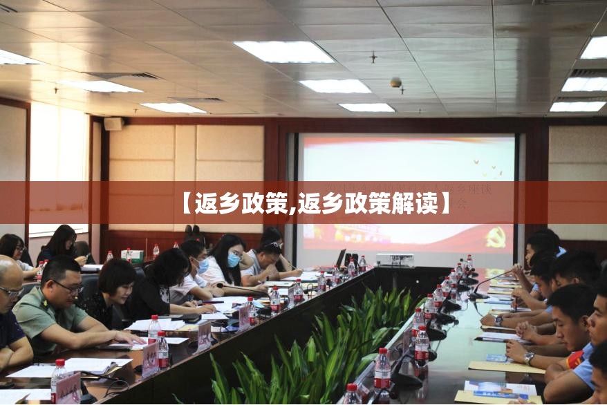 【返乡政策,返乡政策解读】