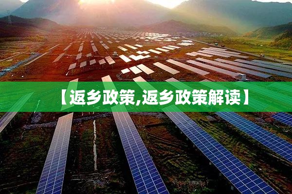 【返乡政策,返乡政策解读】