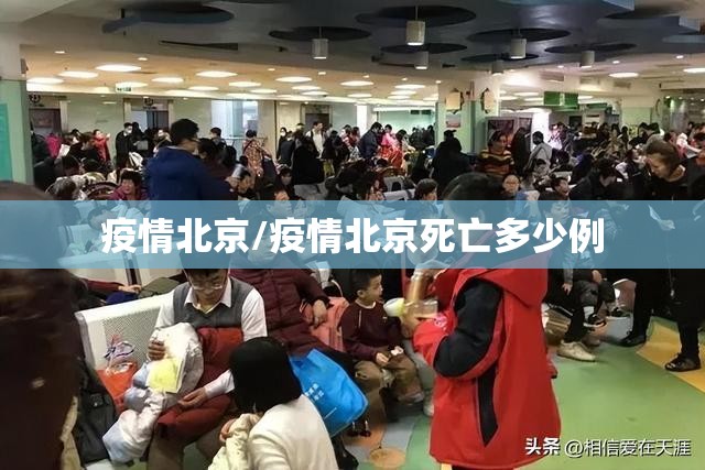 疫情北京/疫情北京死亡多少例