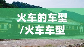 火车的车型/火车车型查询 火车的车型/火车车型查询