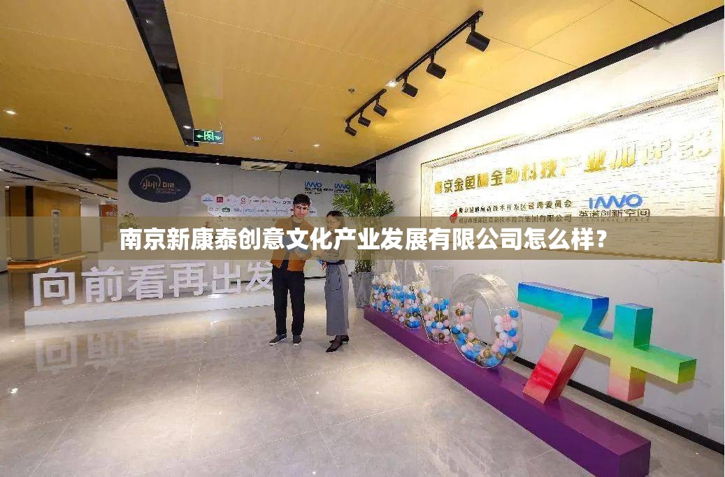 南京新康泰创意文化产业发展有限公司怎么样？