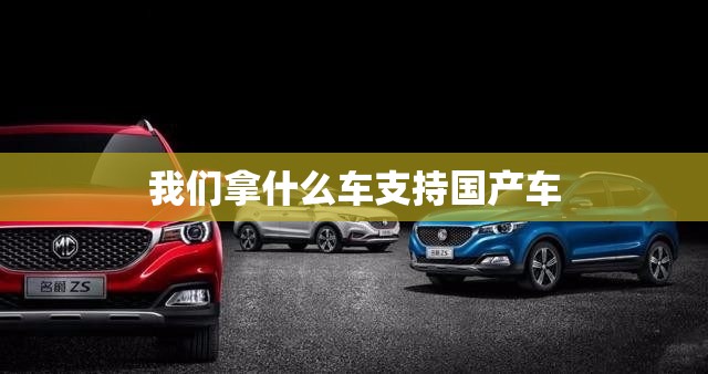 我们拿什么车支持国产车