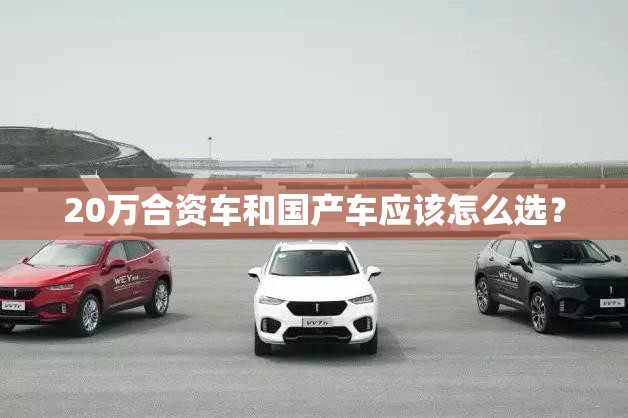 20万合资车和国产车应该怎么选？