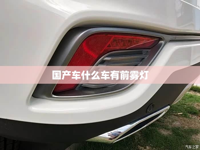 国产车什么车有前雾灯