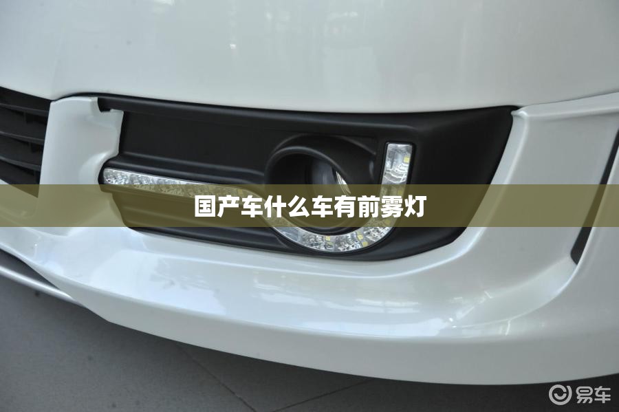 国产车什么车有前雾灯