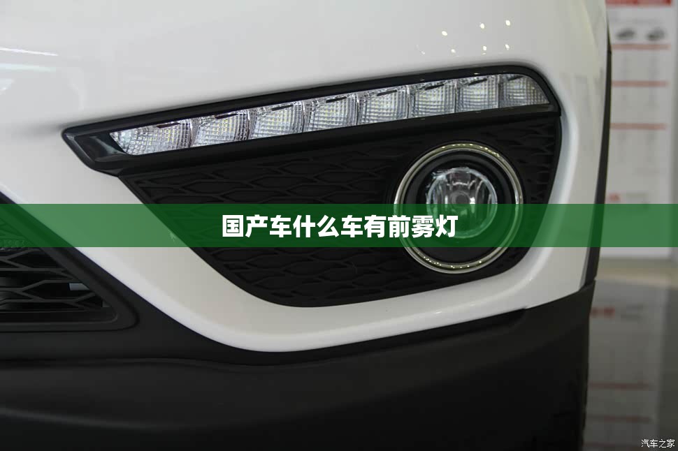 国产车什么车有前雾灯