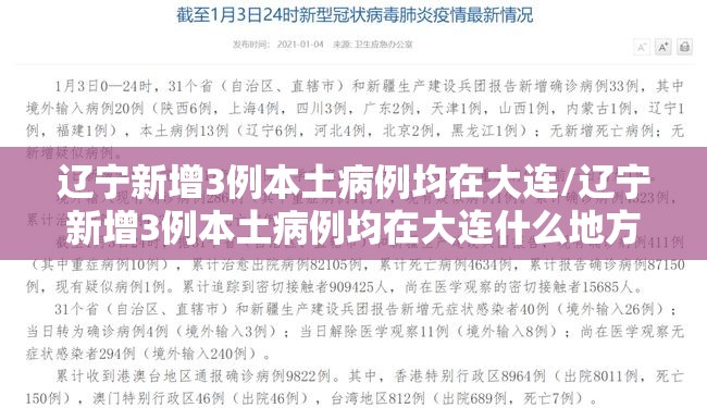 辽宁新增3例本土病例均在大连/辽宁新增3例本土病例均在大连什么地方