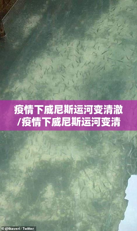 疫情下威尼斯运河变清澈/疫情下威尼斯运河变清澈了吗