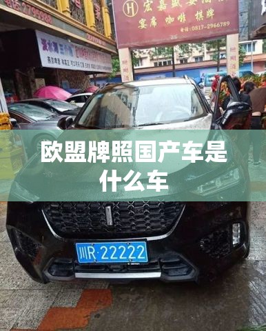 欧盟牌照国产车是什么车