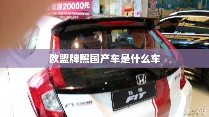 欧盟牌照国产车是什么车