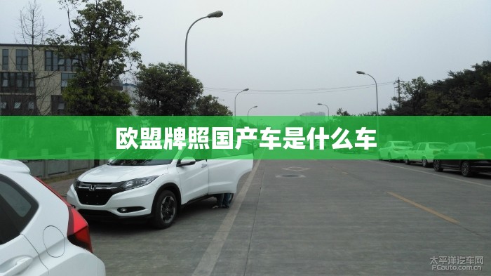 欧盟牌照国产车是什么车