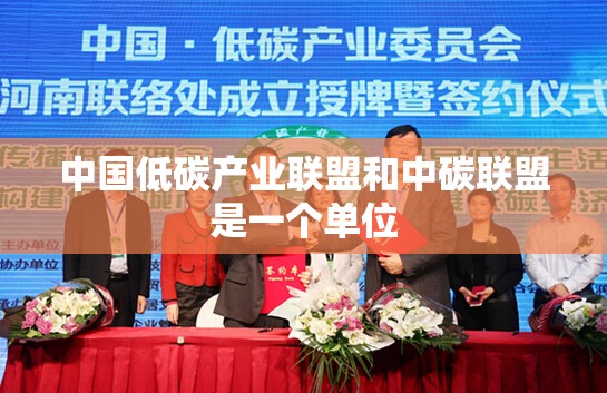中国低碳产业联盟和中碳联盟是一个单位