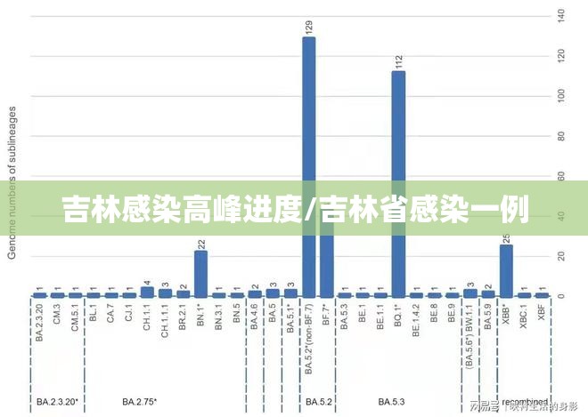 吉林感染高峰进度/吉林省感染一例